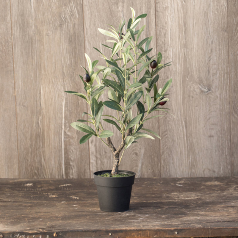 August Grove 13" Artificial Olive Tree in Pot Wayfair